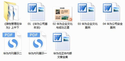 华为HR内部人力资源管理全案 资深HR智慧与战略实践